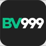 bv999-icon
